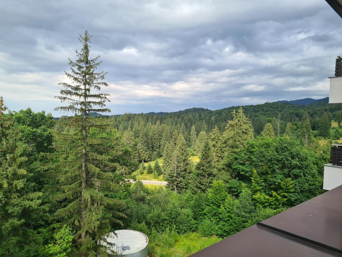 Fabulous Panorama Silver Mountain Apartments Poiana Brasov Eksteriør billede